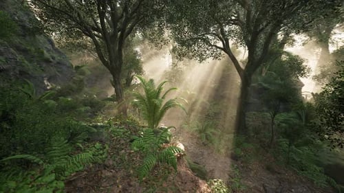 Sunlight Beams Illuminate a Lush Forest Path During Early Morning Hours