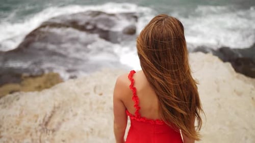 Back View Of Girl In Red Dress With Long Hair Watching The Ocean Waves - Eastern Suburbs, Sydney, NS