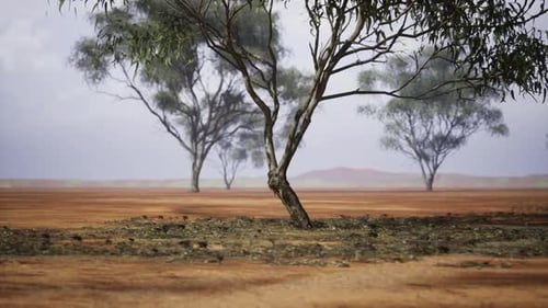Árbol que muestra durabilidad y resiliencia frente a entornos hostiles