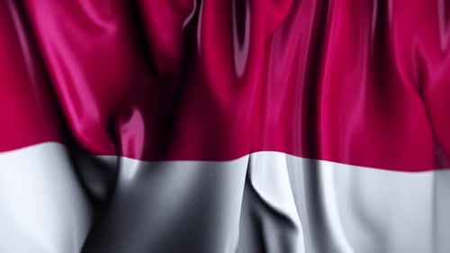 Red and White Flag Waving Seamless Loop Background