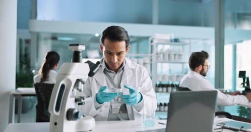 Testing, scientist or man with petri dish in lab for science healthcare