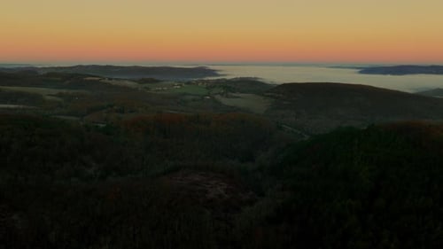 Drone Shot Over A Pine Forest At Sunrise In France