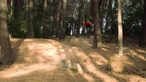 Slow Motion of Man Descending with a Mountain Bike in a Forest