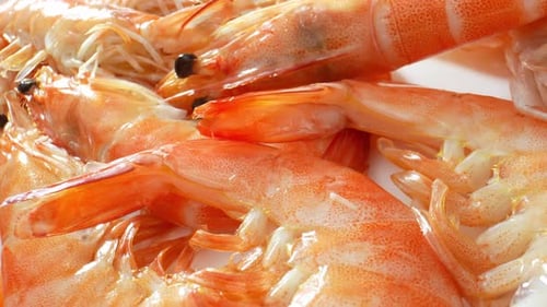 A cooked shrimp with shell in video footage. 4K.