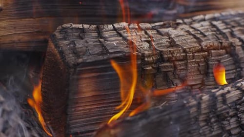 Wood Burning in Campfire. on Red Epic for High Quality ,