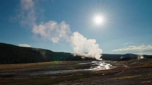 Un matin d'été paisible à Yellowstone, des geysers font irruption dans les forêts