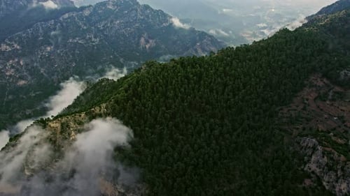 Neblige Wälder, Berge