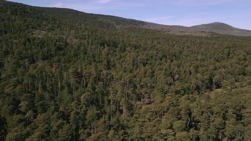 Aerial view of the forest mountains of Navacerrada