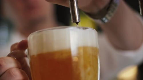 Bartender Pouring Draft Beer in Glass