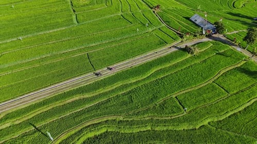 Aerial View of Motorbike at Jatiluwih Rice Terrace
