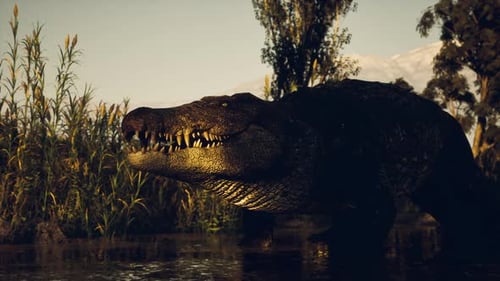 Grand crocodile reposant près de l'eau avec la lumière du soleil reflétée en arrière-plan