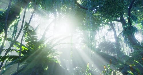 Bright Sunbeams Filtering Through Lush Tropical Forest Animation