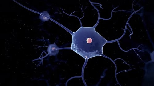 Células de redes neuronales que disparan impulsos eléctricos en una simulación cerebral en el espacio profundo