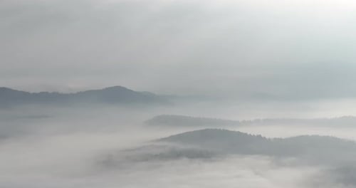 Drohnenaufnahmen aus der Luft von nebligem Nebel, der an einem schönen Morgen über einem Kiefernwald weht