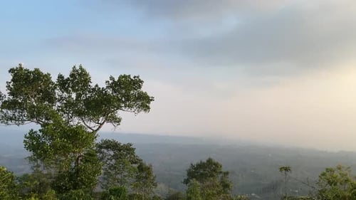 natural mountain forest at sunset
