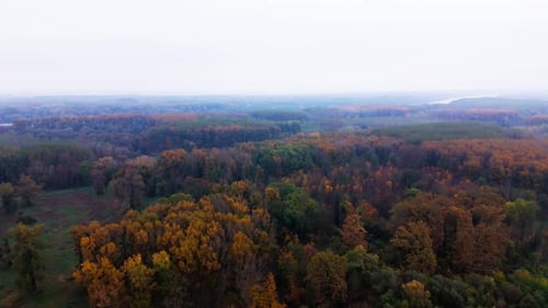 Fall Colors On The Forests Along Danube River During Sunrise. Aerial Wide Shot