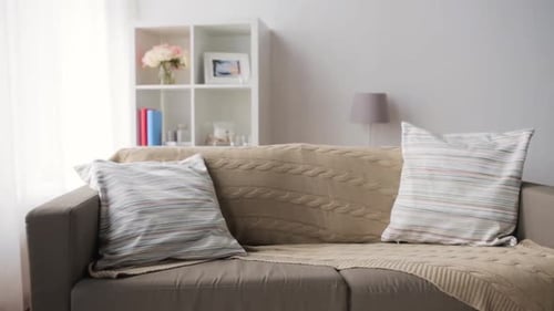 Living Room Interior with Couch and Bookshelf