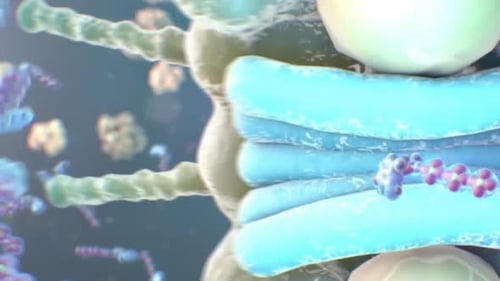 Viral infection concept with bacteria and cells in microscopic view