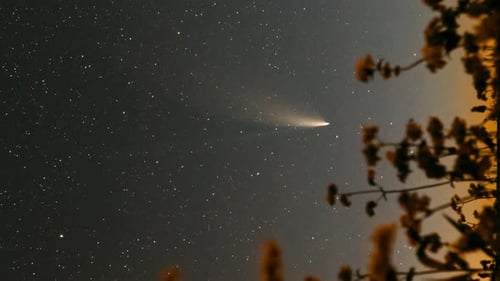 Spectacular Comet Time-Lapse Traversing Night Sky