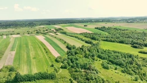 Above View of Planted Plots of Land Patchwork Land Plantations
