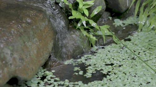 Small Stream of Water Running Through Smooth Rocky Surface into a Pond, 4k