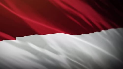 Realistic Waving Flag of Indonesia Motion Graphic