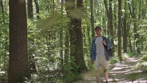 Man Hiking Through a Sunny Forest Trail