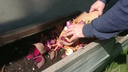 Abono a partir de residuos orgánicos de cocina y reciclaje doméstico