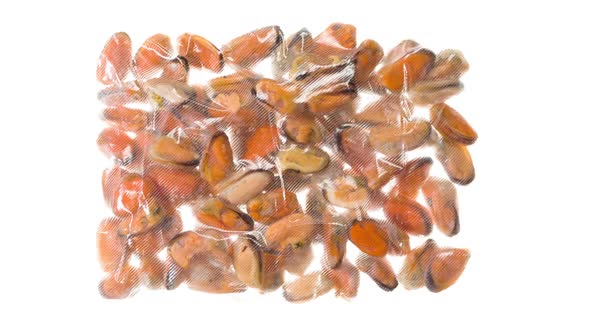 Packing And Freezing Peeled Mussels, Food Stock Footage ft. vacuum ...