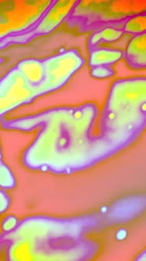 A Stylish and Trendy Minimalist Vector Design Representing a Modern Icon of Creativity and Elegance