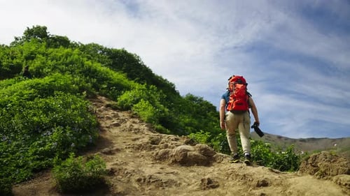 Climbing To Mount Top Male Tourist Walking Alone In Nature Hiking And Backpacking In National Park