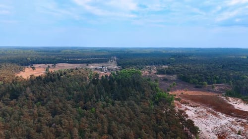 Vast forests and fields. Aerial view showcases a lush forest surrounded by open fields