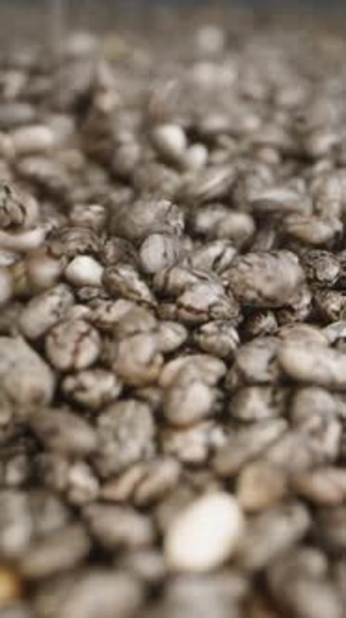Vertical video. Chia Seeds Falling from above, Forming a pile. Dolly slider extreme close-up.