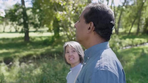 Mature Couple Walking and Talking in Sunny Park 4549 Years