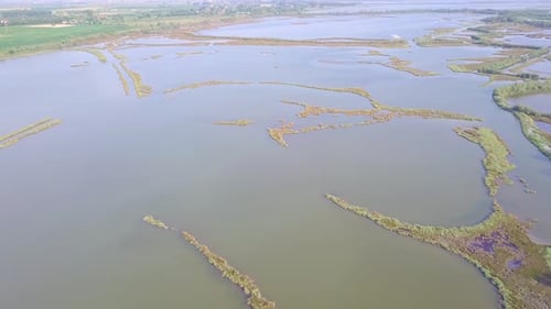 Survol de marécages et de champs inondés par un drone