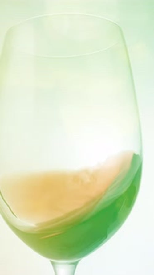 Multicolor Liquid Swirls in Wine Glass Abstract