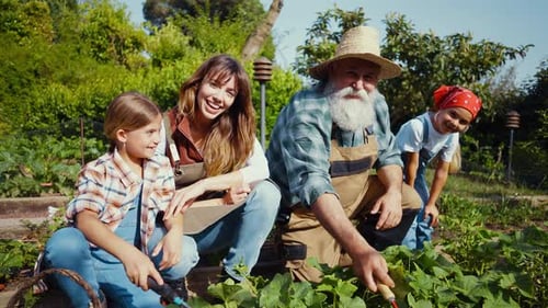 Family having fun in the vegetable garden