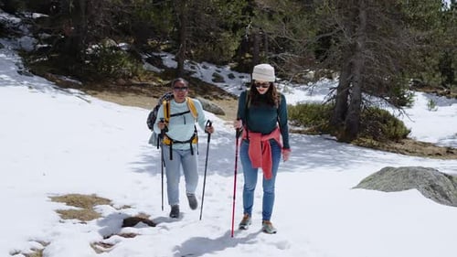 Hiker Walking in Snowy Mountain Forest Trail with Backpack and Trekking Poles