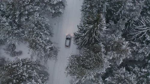 Picturesque snowy forest with a car on a curvy road