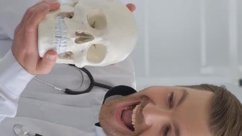 A Doctor Holds a Model of an Anatomical Human Skull in His Office Vertical Video