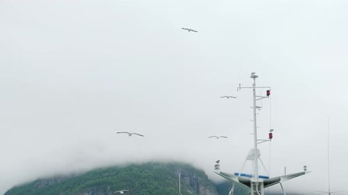 Möwen fliegen und sitzen auf dem Mast des Schiffes Fjordkreuzfahrt in Norwegen