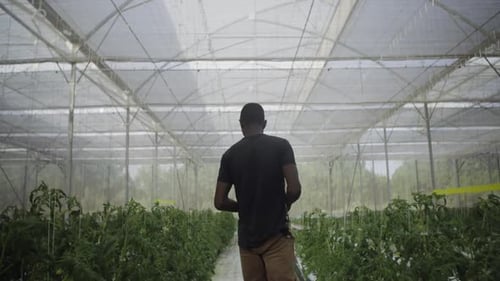 A man walks past crops in a garden