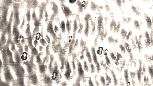 Abstract Water Ripples Surface Texture in Motion