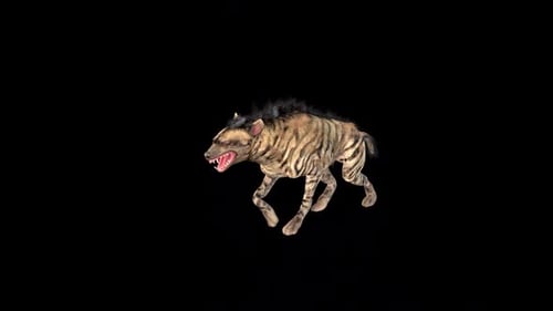 Wild Hyena Walk