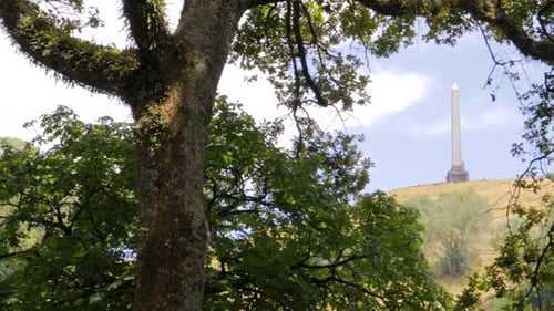 Open view through canopy towards Obelisk landmark, cloudy day in Cornwall Park, New Zealand