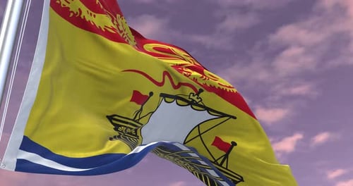 Realistic Waving Flag with Ship and Heraldic Crest Animation