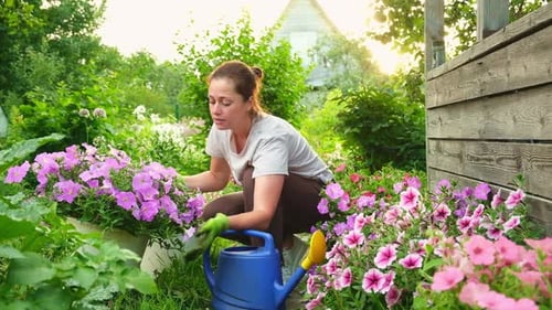 Gardening and Agriculture Concept Young Woman Farm Worker Gardening Flowers in Garden Gardener
