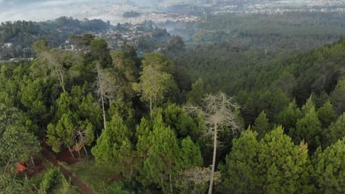 Reveal shot aerial view of foggy mountain valley in the morning