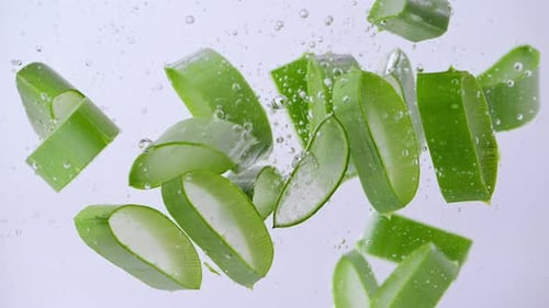 Fresh Aloe Vera Pieces Falling into Water