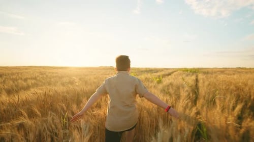 Happy Teen Boy is Running on Golden Rye Field Rear View Slow Motion Joyful and Carefree Childhood